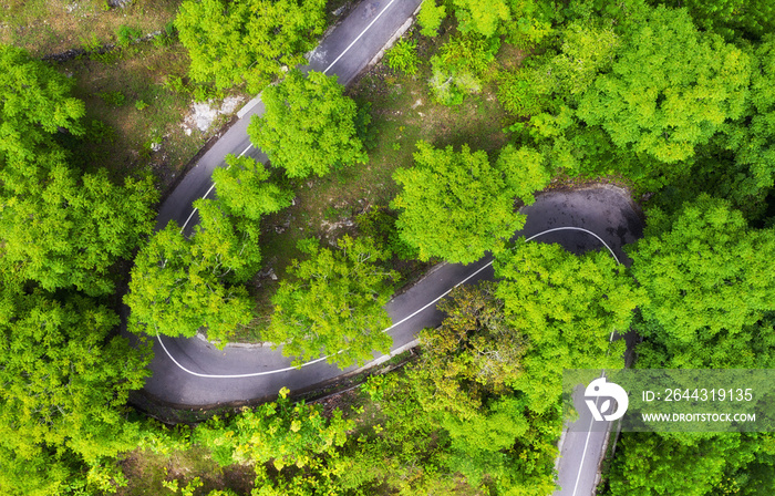 Aerial view on road in the forest. Highway throu the forest. View from a drone. Natural landscape in summer time from air. Travel - image