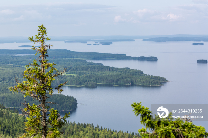 View from top to beautiful lake, Koli National Park, Finland