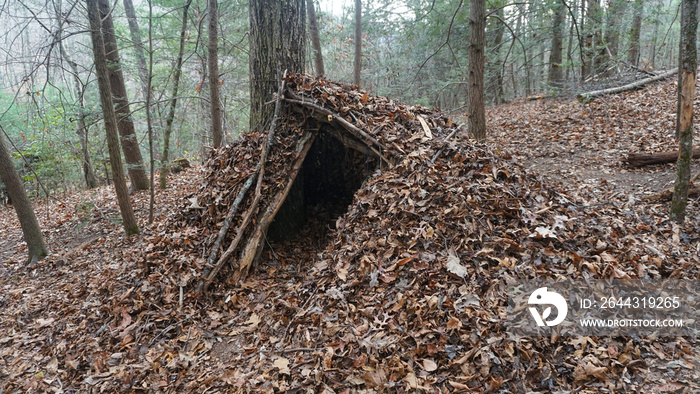 Primitive Debris Hut Survival Shelter in the wilderness. Bushcraft campsite in the forest.