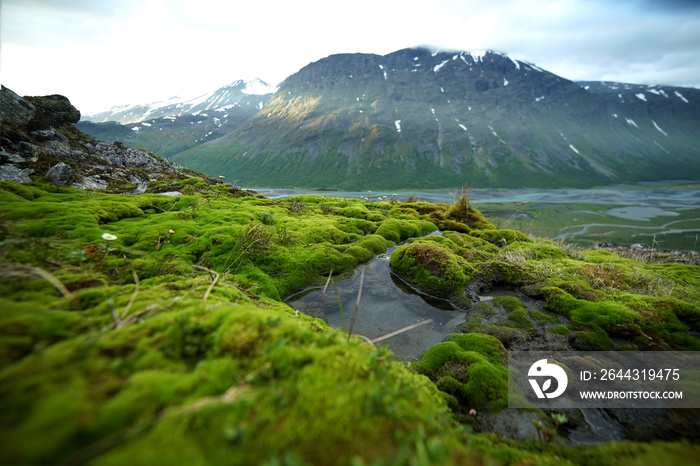 View of the valley. Northern Sweden, Sarek National Park