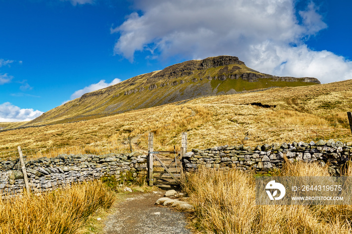 A path leading to PenyGhent, in the Yorkshire Dales.