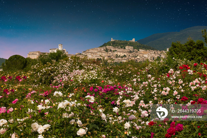 View of Assisi medieval town of peace at night in Umbria