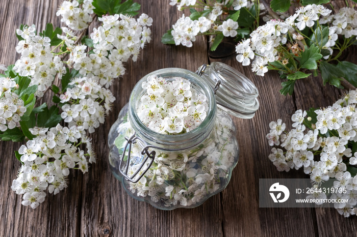 Preparation of tincture from fresh hawthorn flowers