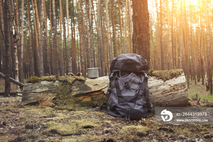 Tourist backpack, metal mug in the forest. Concept of a hiking t