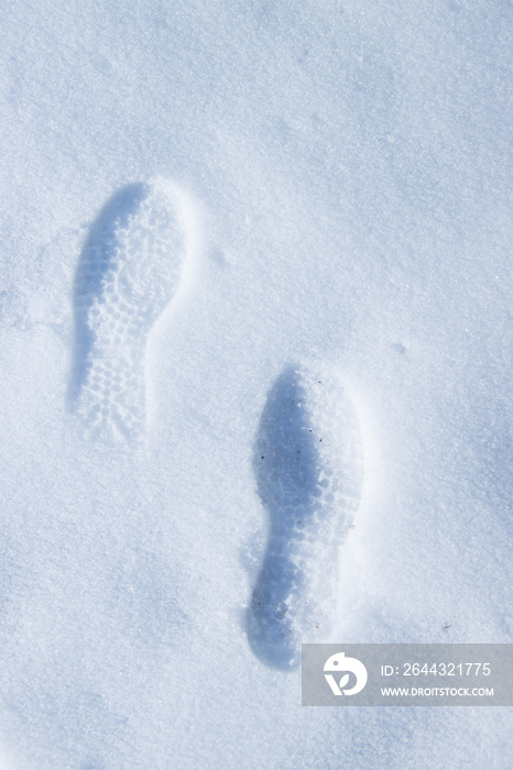 雪に残る足跡