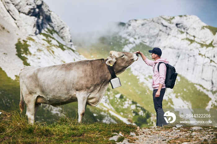 Happy traveler with cow in mountain