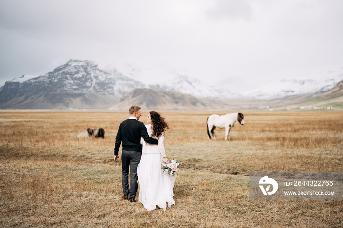 Wedding couple in after with horses. The groom hugs the bride. Destination Iceland wedding photo session with Icelandic horses.