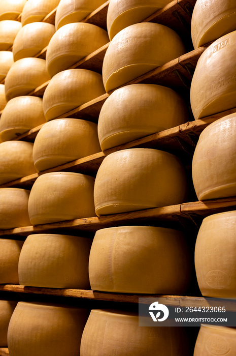 Process of making parmigiano-reggiano parmesan cheese on small cheese farm in Parma, Italy, factory maturation room for aging of cheese wheels up to 5 years