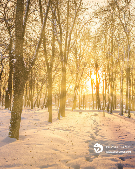 Sunset or dawn in a winter city park with trees, benches and sidewalks covered with snow and ice.