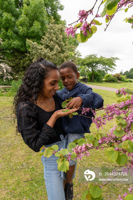 Mother carrying son while looking at cherry tree