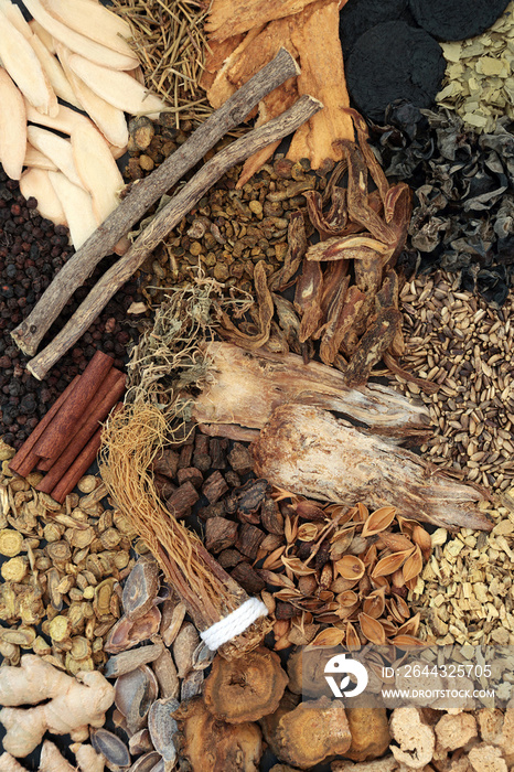 Traditional Chinese fundamental herb & spice selection most frequently used in alternative herbal medicine treatments. Top view.