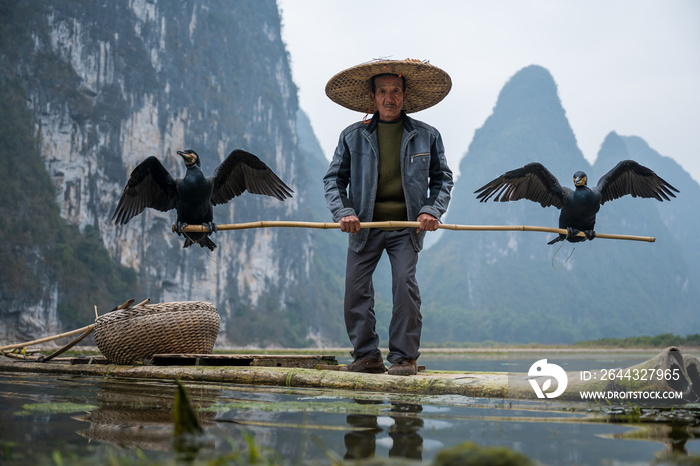 A fisherman hold a stick which with two cormorants standing on each end