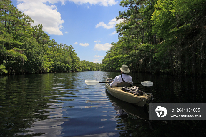 Active senior kayaking on Fisheating Creek, Florida on calm early summer afternoon amidst clouds and Cypress Trees reflected in water.