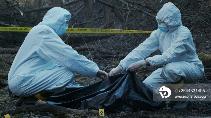 Detectives are collecting evidence in a crime scene. Forensic specialists are making expertise. Police investigation in a forest.