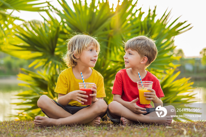 Two boys drink healthy smoothies against the backdrop of palm trees. Mango and watermelon smoothies. Healthy nutrition and vitamins for children