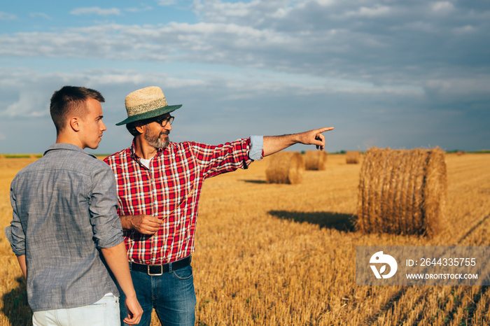 two workers on wheat filed talking