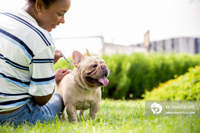 Little dog with owner spend a day at the park playing and having fun in garden. Excersice with pet