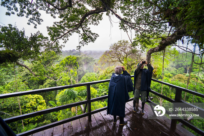 Bird watching in a 43m Kapok Tree tower viewing platform at Sacha Lodge, Coca, Amazon Rainforest, Ecuador, South America