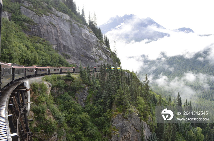 Train in Alaska