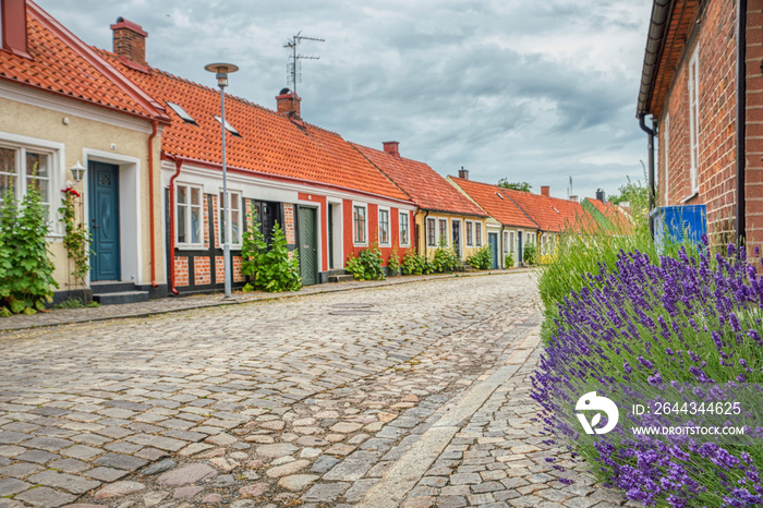 Simrishamn cobbled street with purple lavender flowers by a row old town houses in the Swedish Osterlen region. Popular nordic touristic location in a colorful, historical fishermen village in Sweden