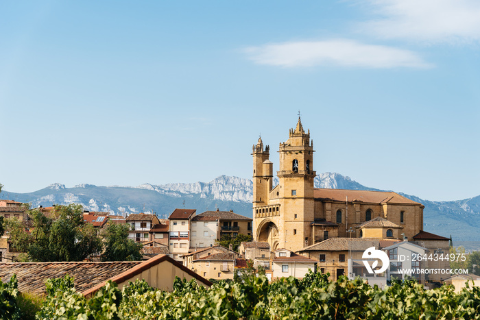 View of Elciego town in Alava, Spain. Scenic cityscape against the mountain range