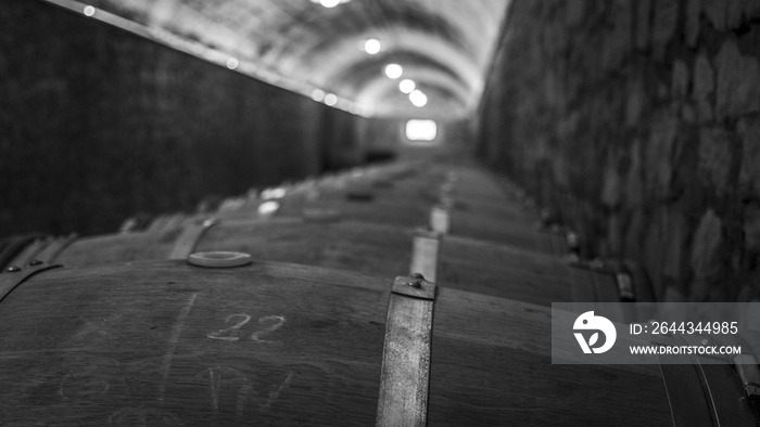 Barrels on a spanish winery