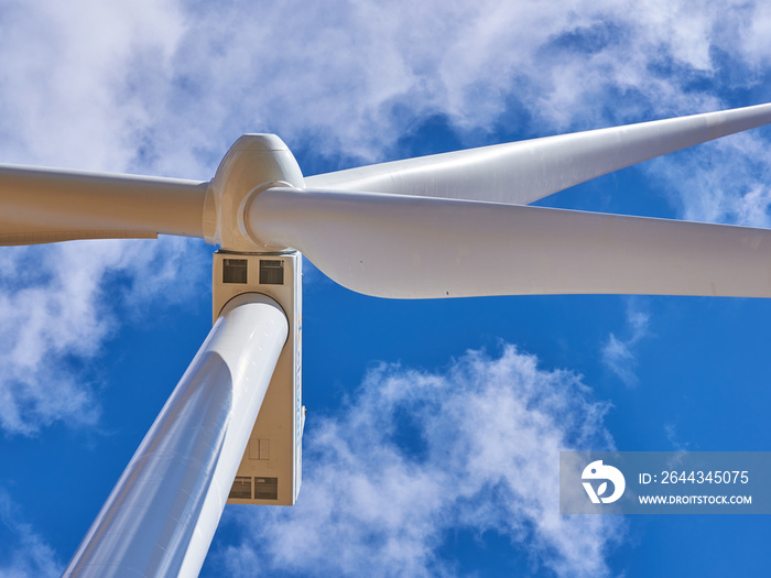 Construction of a wind farm