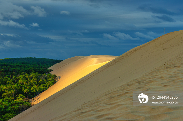 Dune du Pilat - größte Wanderdüne Europas