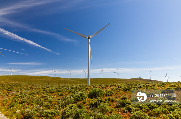 Low angle view group of wind turbines towers again cloud blue sky on a wind farm at Ellensburg, Washington, US. Clean, sustainable, renewable energy concept. Alternative energy source from wind power.