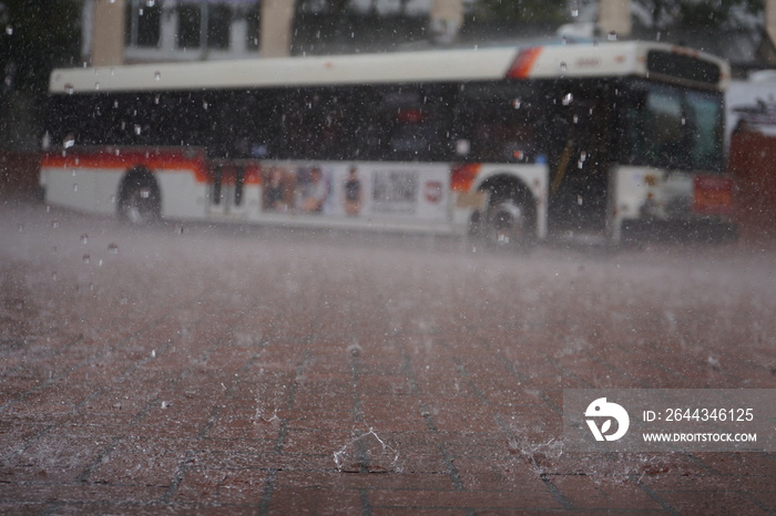 Bus in the Rain