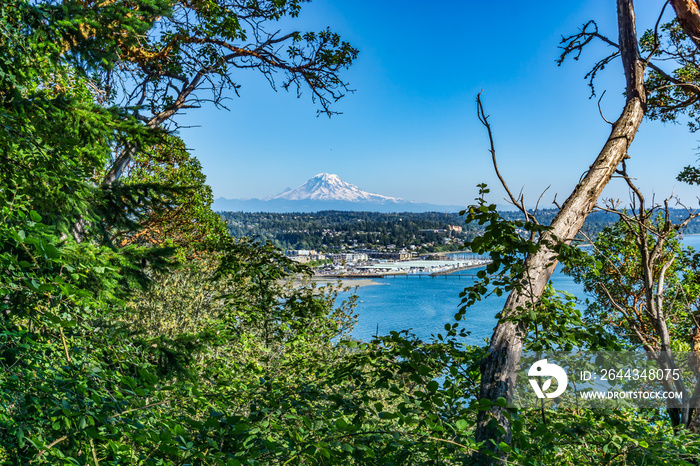 Washington Marina And Mountain 2