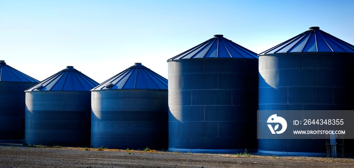 Grain Silos on Farm for Farming and Storage of Wheat