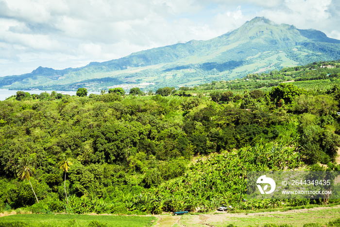 Montagne pelée martinique