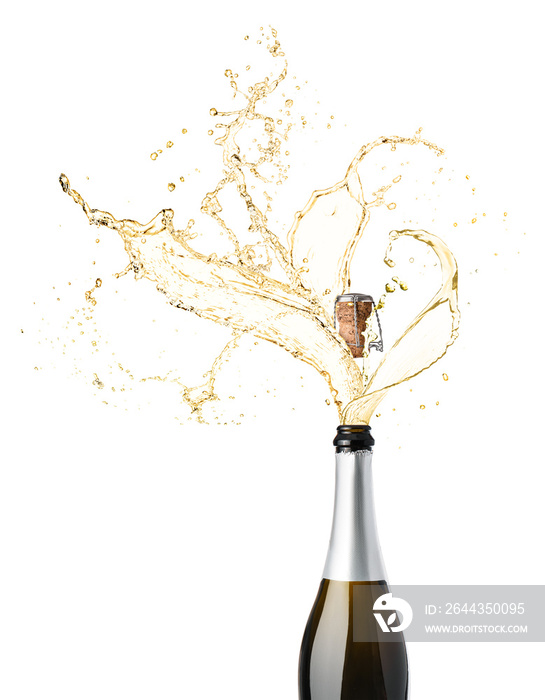 Open bottle of champagne with splash on white background