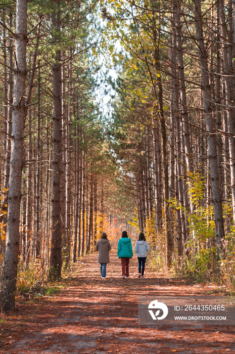 Three female tourists walking along the pathway between the walls of yellow orange red and green trees on Humber Valley Heritage Trail near Kleinburg, Ontario, Canada on sunny autumn day