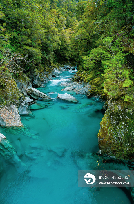 New Zealand tourism blue pools 2