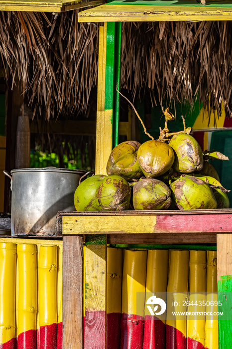 Tropical jelly coconut fruits on table at outdoor vendor shop painted in rasta colors with thatch roof. Big pot of Jamaican soup dish cooking in background. Sunny summer beach day setting in Jamaica.