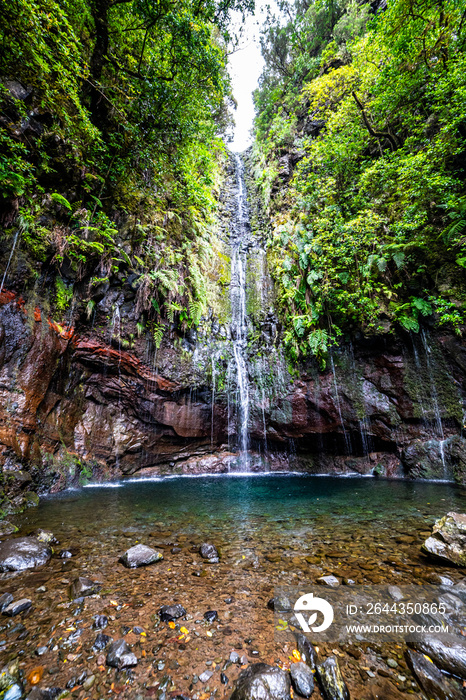 PR6 Levada das 25 Fontes / Levada do Risco, Madeira, Portugal