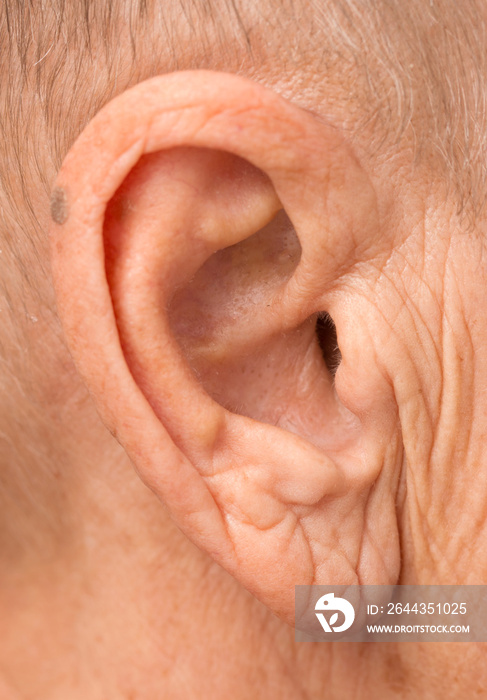 woman’s ear