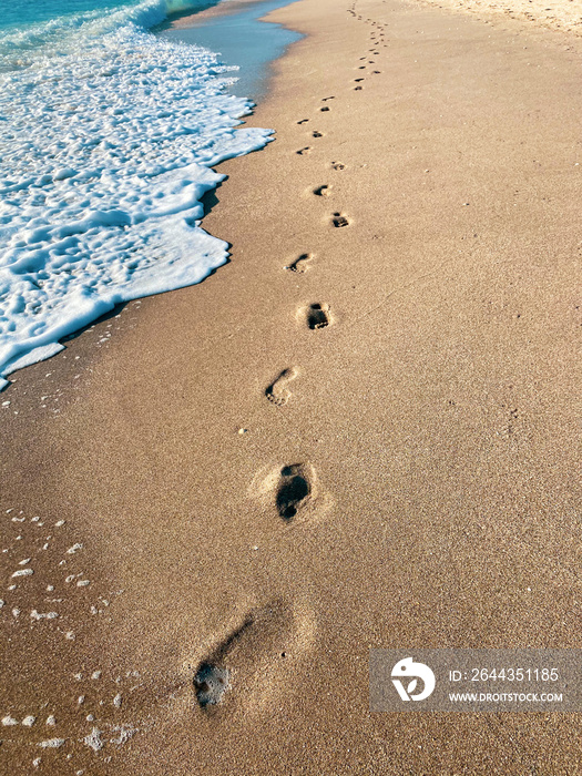 singer island palm beach county  florida beach footprints in the sand