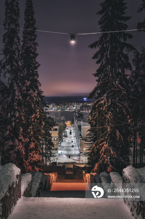 View of Jyväskylä city and lake Jyväsjärvi