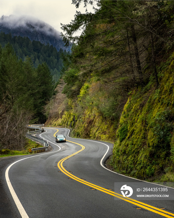 highway curving through mountain with trees, fog, car, moss