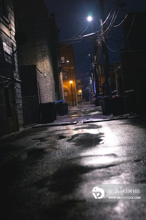 Chicago Alley at Night