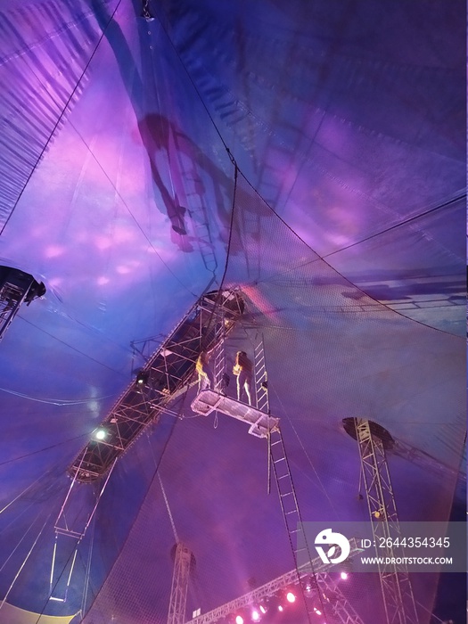 Big top and circus. performances and spectacle