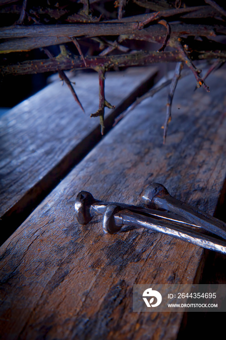 Bloody nails and crown of thorns as symbol of suffering and crucifixion of Jesus Christ. Vertical image.