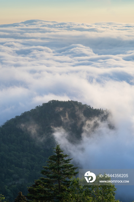 上から見下ろす雲海と山の森の風景。日本の北海道の津別峠で。