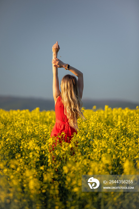 Female young woman blonde teenager in golden sunset or sunrise arms raised celebrating in field of yellow flowers