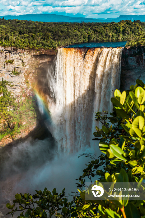 kaieteur waterfall located in guyana kaieteur national park inside the amazon rainforest