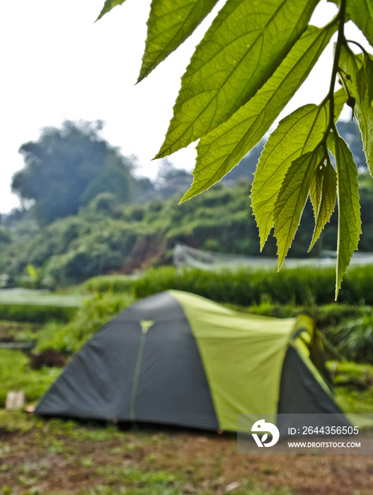 camp in the village. camper enjoying the beauty of the village atmosphere