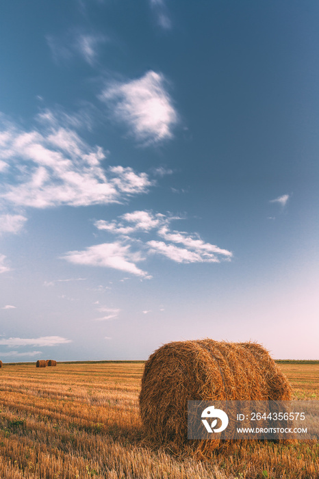 Rural Landscape Field Meadow With Hay Bales After Harvest In Sunny Evening At Sunset